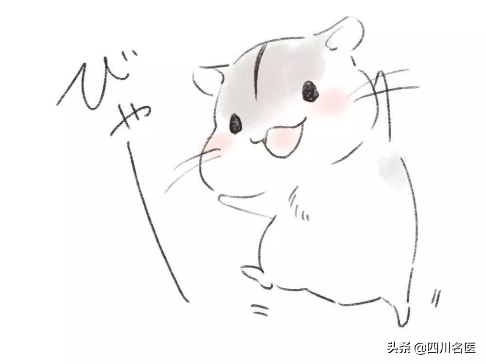 成都华西医院皮肤科雄性激素脱发,华西的皮肤科治疗脱发吗