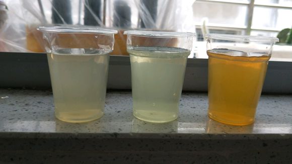 使用硫酸亚铁养花，差了这一步非但没效果，还可能把花养死