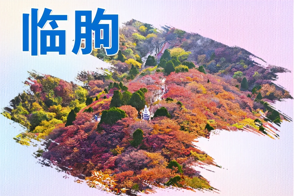 潍坊2024全民健身启动仪式,潍坊全民健身运动会报名