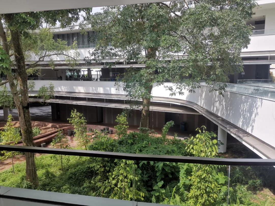 北京指南者留学攻略,指南者留学广州