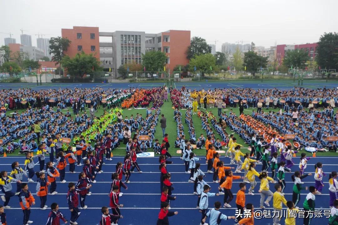 生命因运动而精彩节目串词,生命因运动而精彩小学展板设计