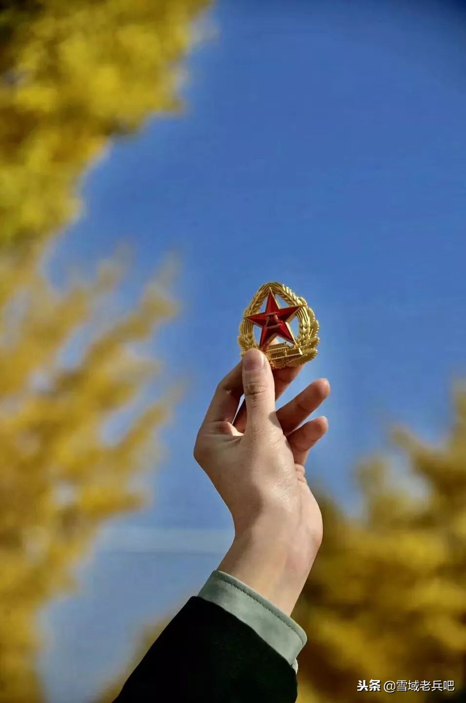 最后一个军礼原唱,最后一个军礼歌曲