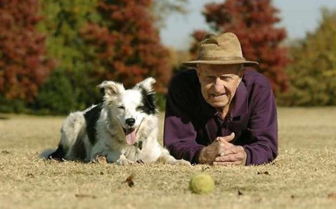 养狗的都懂得养狗秘籍,养狗的七大好处