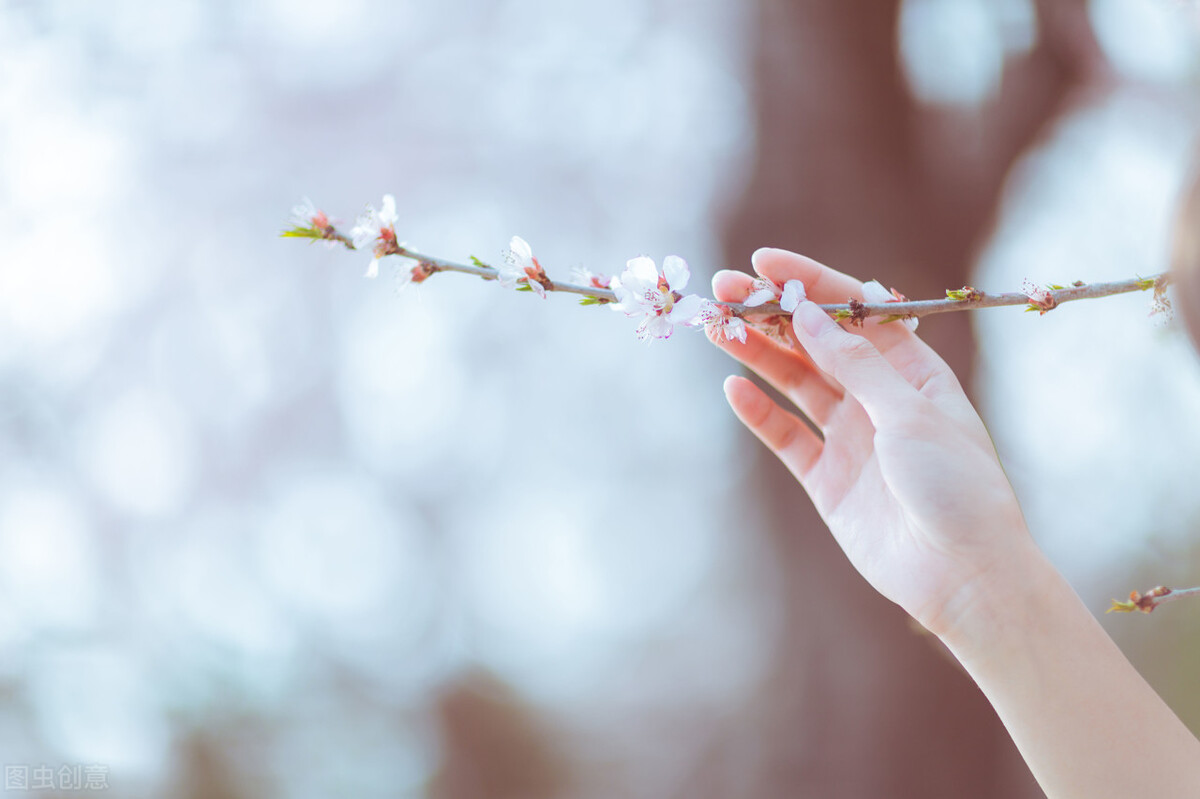 四十年才出现一次的歌手演绎《四季之歌》，至真至纯