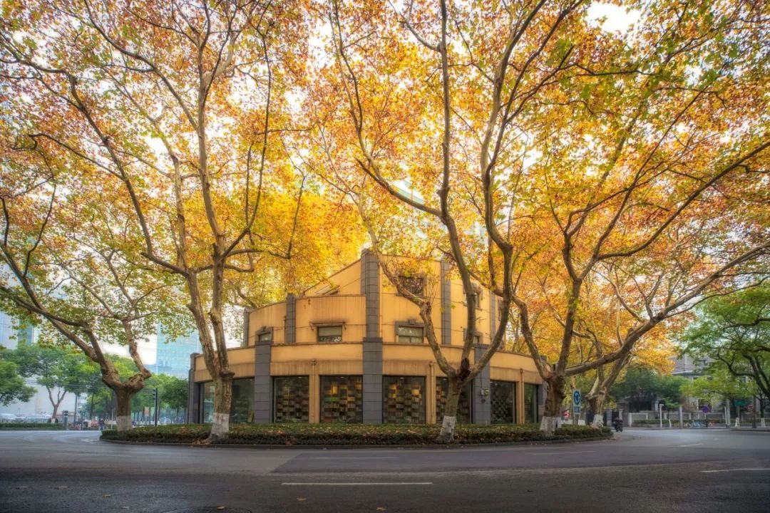 一到秋天南京就成了金陵,一入秋南京就成了金陵