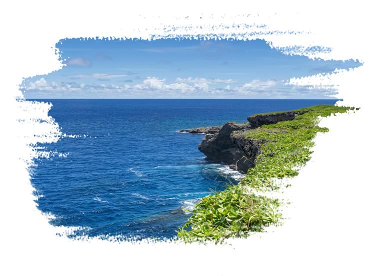 鹏飞乐岛,飞乐岛怎么做逍遥岛主