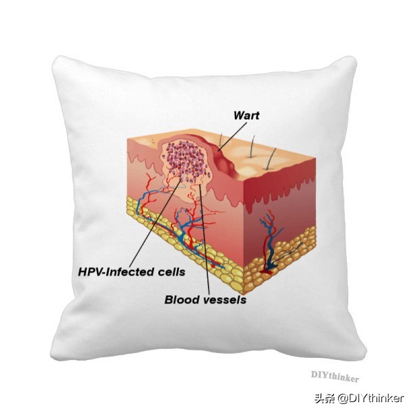 既舒适又可爱的抱枕,复古的抱枕太好看了