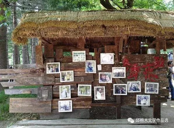 韩国游记完整版视频,韩国游记小说