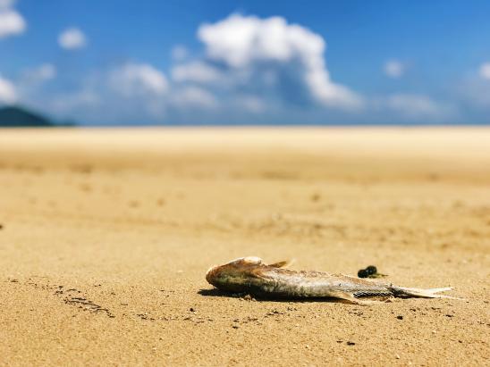 iPhone相机各个功能介绍,iphone有什么好玩的技巧