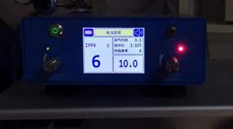 龟外伤修复,乌龟烂甲恢复初期