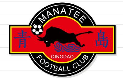 青岛海牛是中能吗,青岛海牛股改