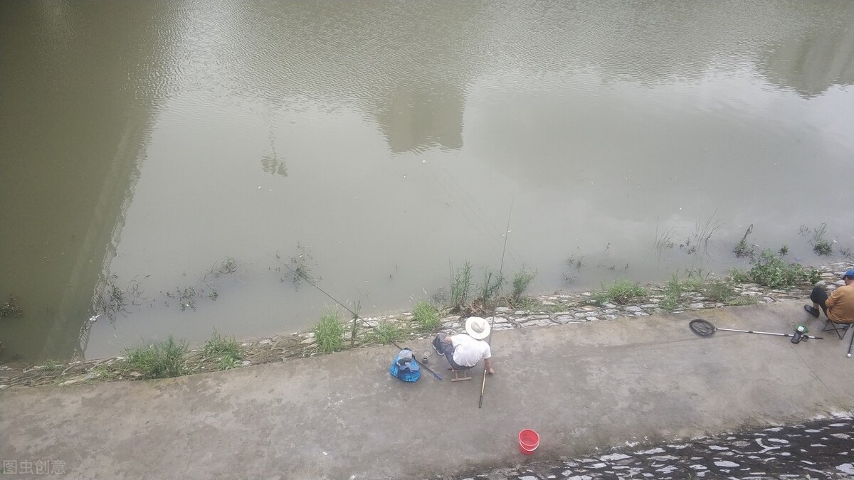 野钓为什么鲤鱼多草鱼少,野钓为什么鱼难钓