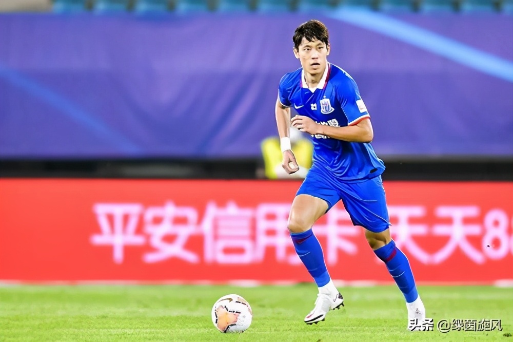 申花引进高龄中卫补强,上海申花十大球员