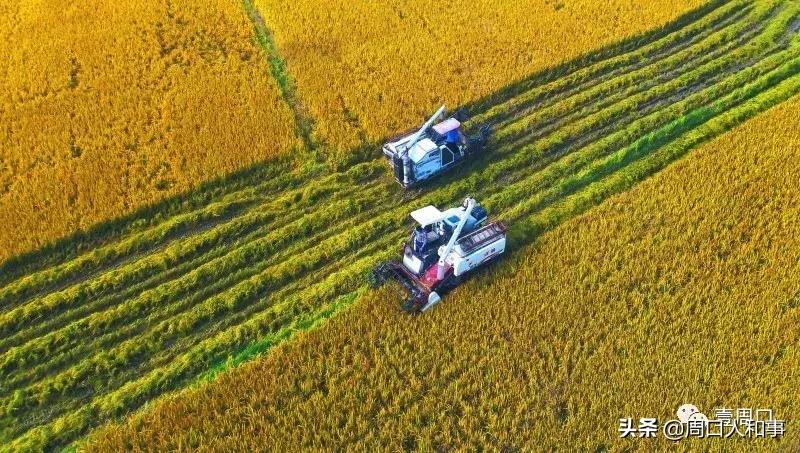 什么是喜欢,西华是什么地方