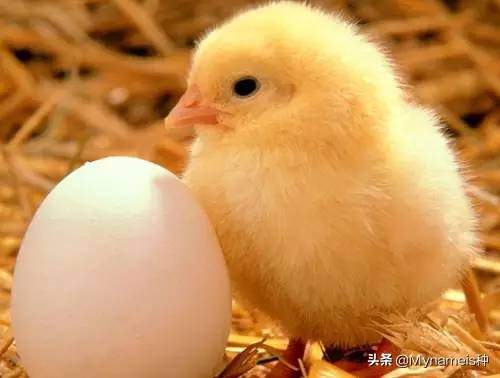 灞炵浉澶╁懡,澶╁懡灞炵浉