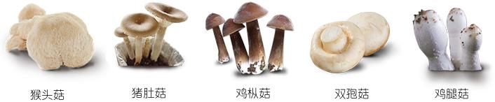 在家种蘑菇菌包靠谱吗,家种蘑菇菌包