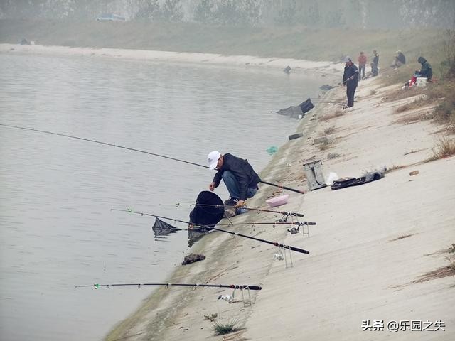 长竿短线传统钓，选择一款优秀的钓竿，是作钓体验的提升