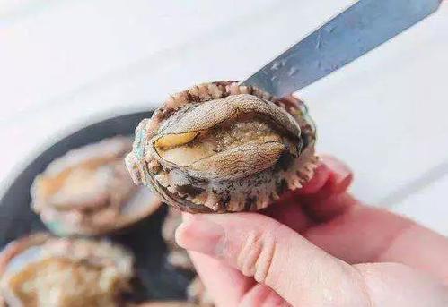 好吃的鲍鱼做法,鲍鱼烫火锅需要怎么处理