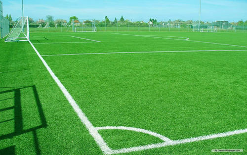 冷季型暖季型马尼拉,西南地区草皮