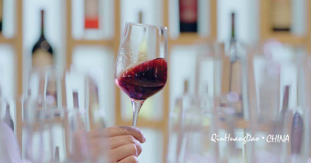 秦皇岛宣传片,2021秦皇岛旅游发展大会宣传片