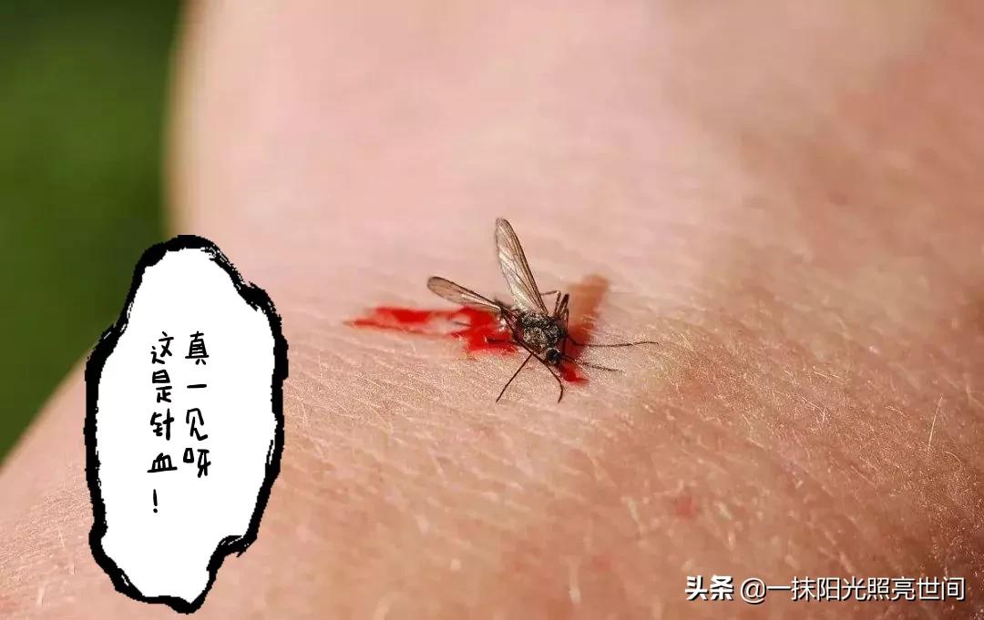 农村生活有几个人能懂,农村你了解多少