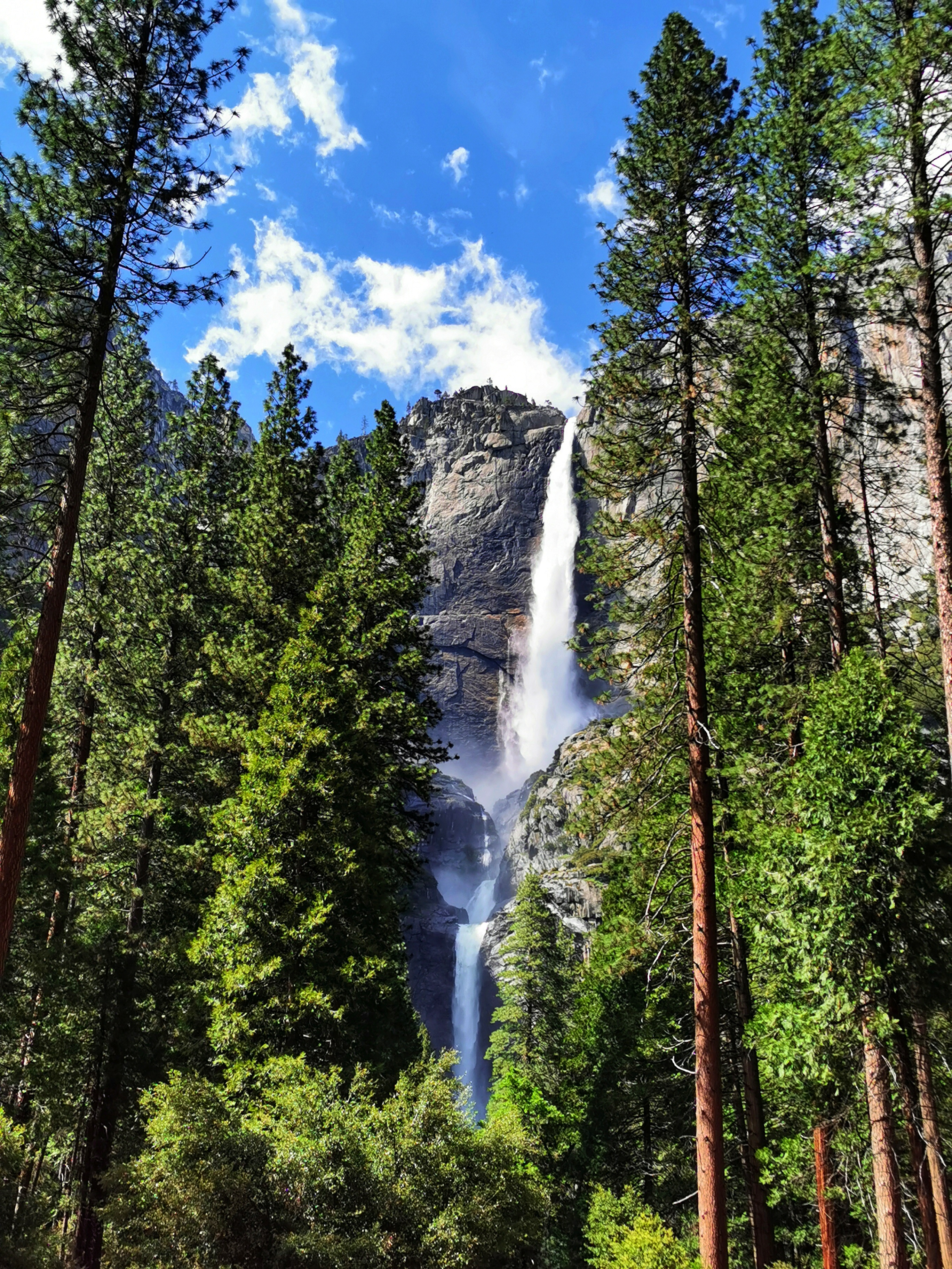 加利福尼亚优胜美地,美国旧金山优胜美地