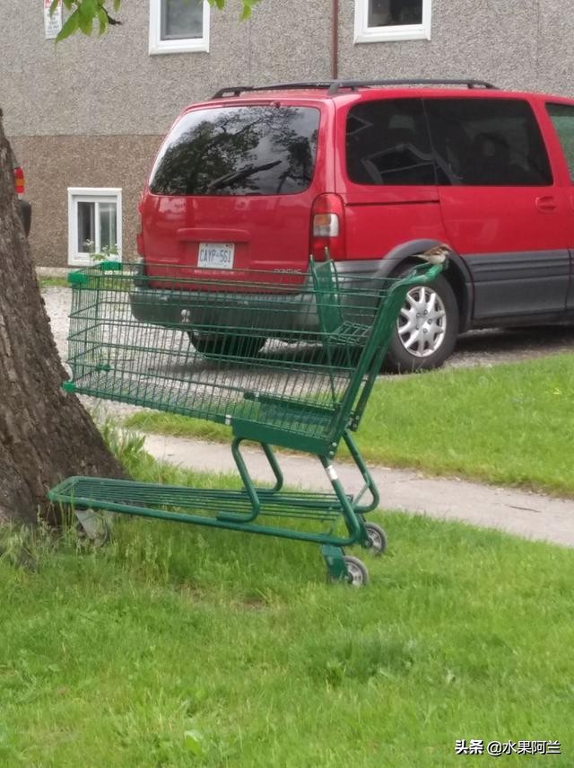 新西兰旅游攻略租车,加国自驾游攻略