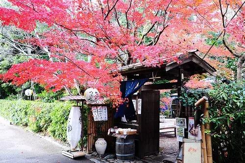 去日本旅行哪条线路好,去日本最划算路线