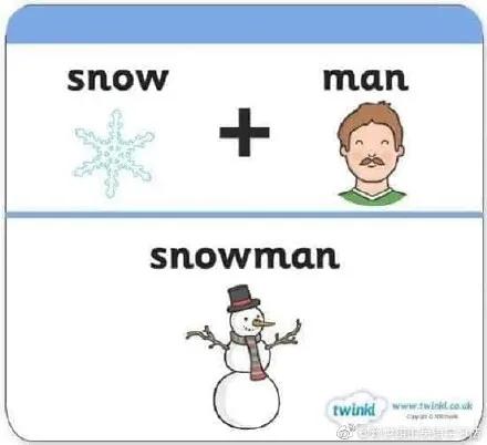 cat是什么词,cat是猫的意思吗