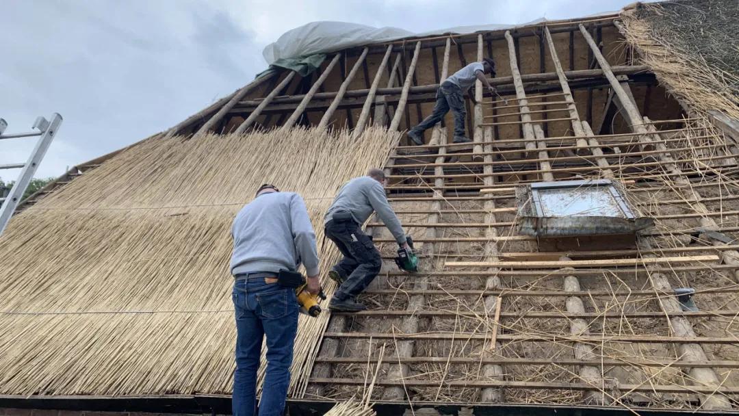 如此普通却又如此自信出处,荷兰依赖中国的稀土吗
