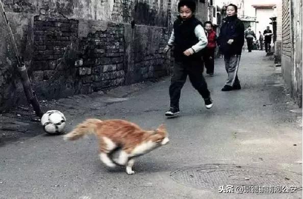 致2020年的孩子,2019小儿姓名大全