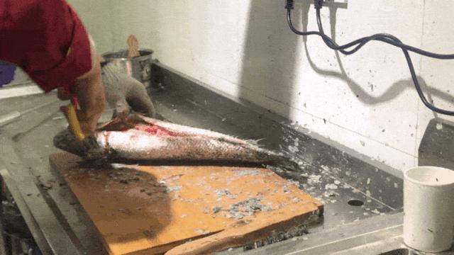 味寻千百度,阜阳这家渔锅好吃到爆!19.9抢购108元渔锅手慢无!