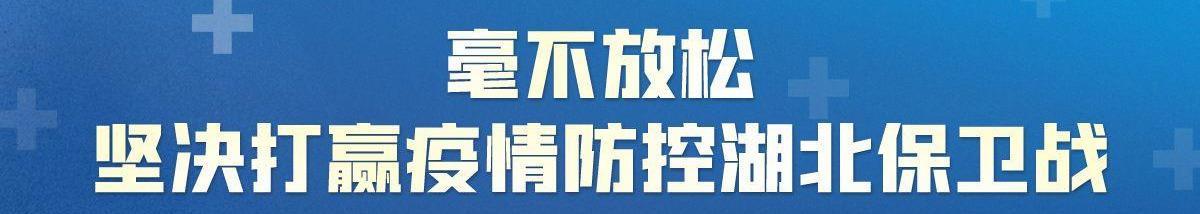 热干面牛肉味速食,武汉面窝烧麦热干面