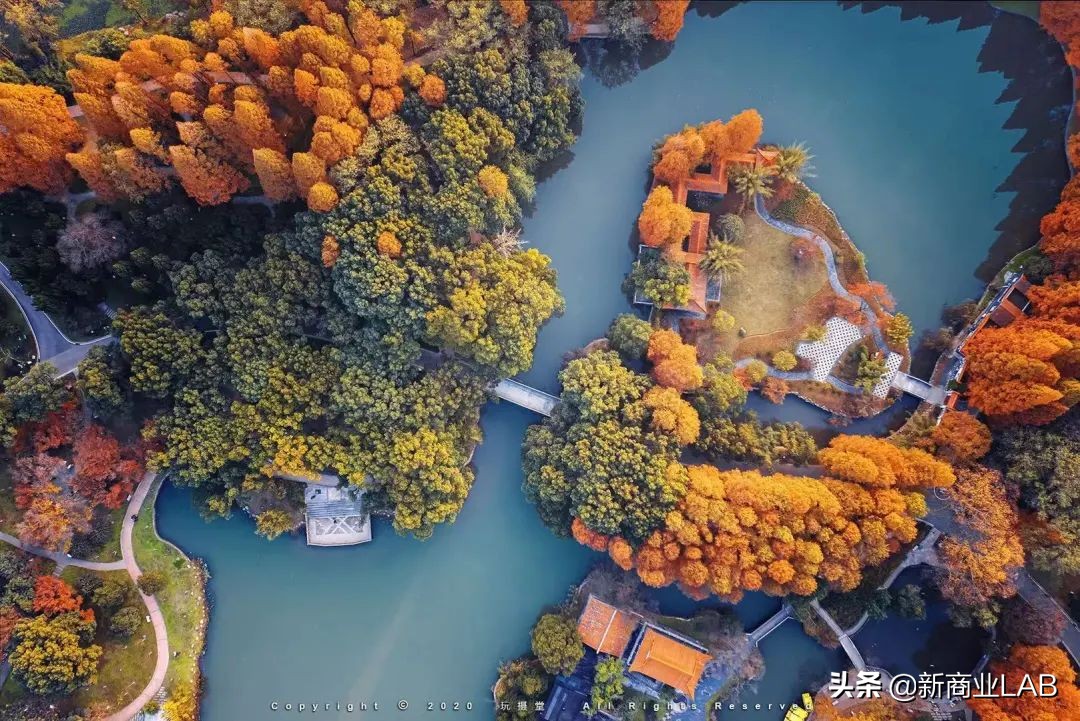 姝︽眽涓轰粈涔堣绉颁负閰掑簵鑽掓紶,姝︽眽閰掑簵鑽掓紶