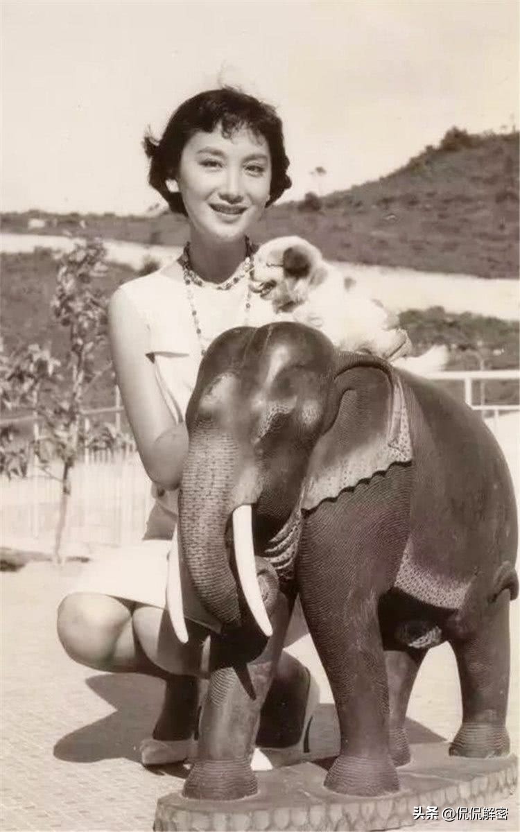 民国最美的旗袍美人,民国最美的十位美女