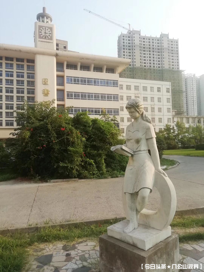 我的大学完整版歌曲,淮南师范学院大专