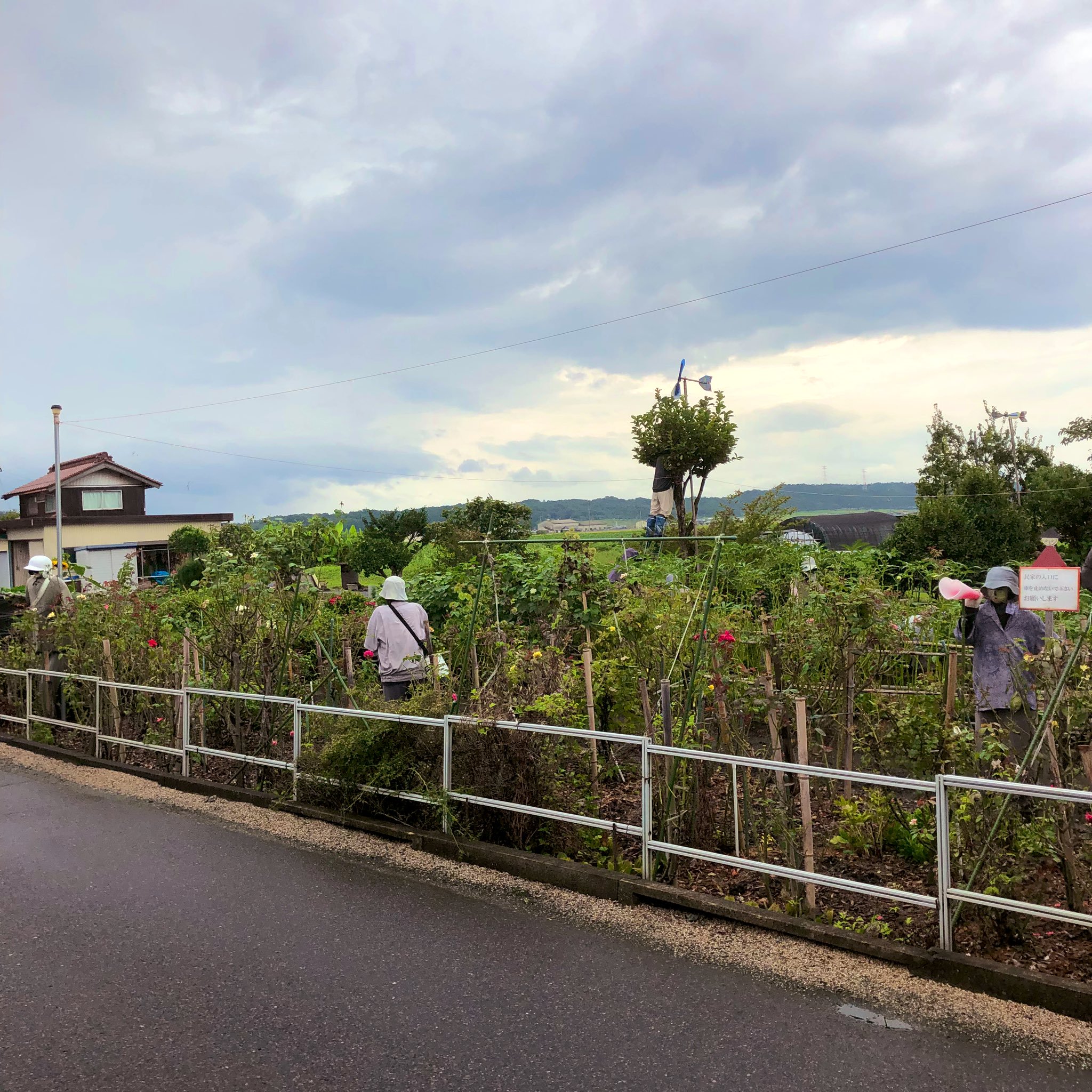 日本人进村村民惊慌失措片段,中国人探秘日本稻草人村