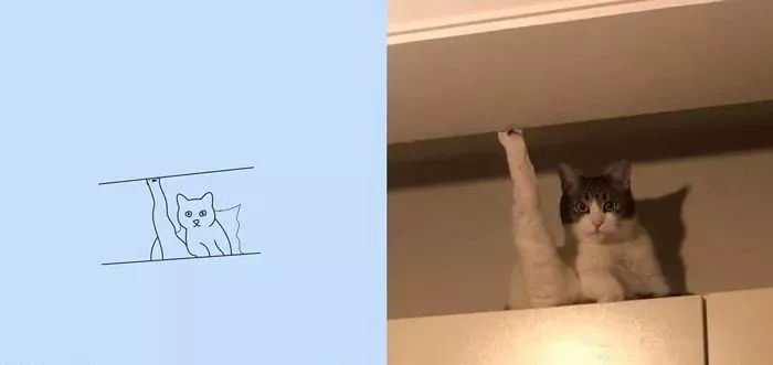 你和大触绘画的区别：一看就会一画就废，这波动物简笔画太形象了
