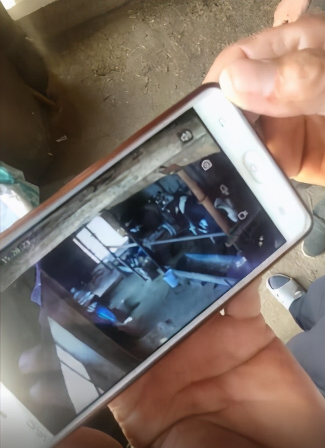 牛也要出圈（quān）？这个电信高定耳饰不简单