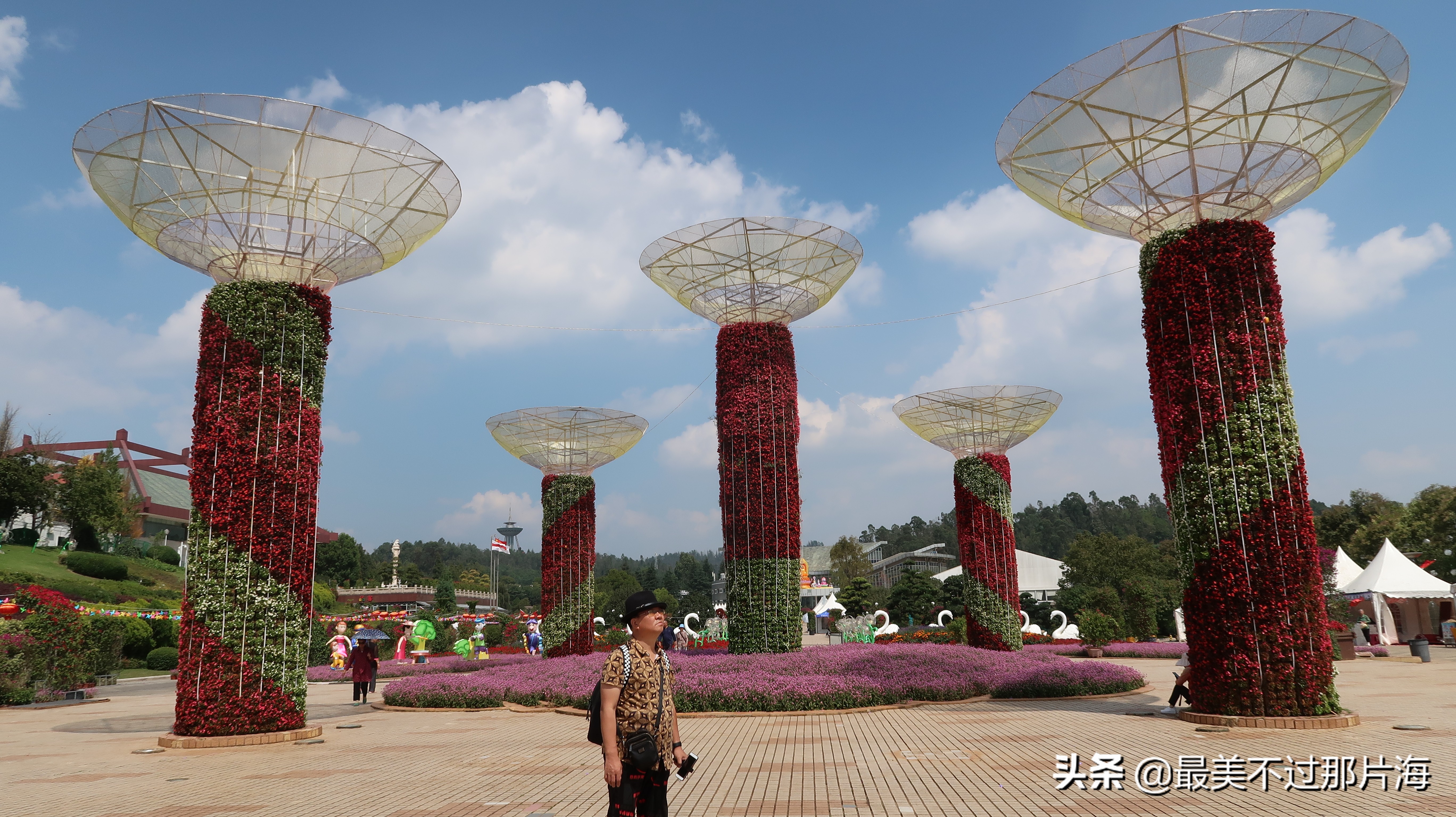 昆明世博园和云南大观园游玩攻略,昆明有个世博园四季如春好地方