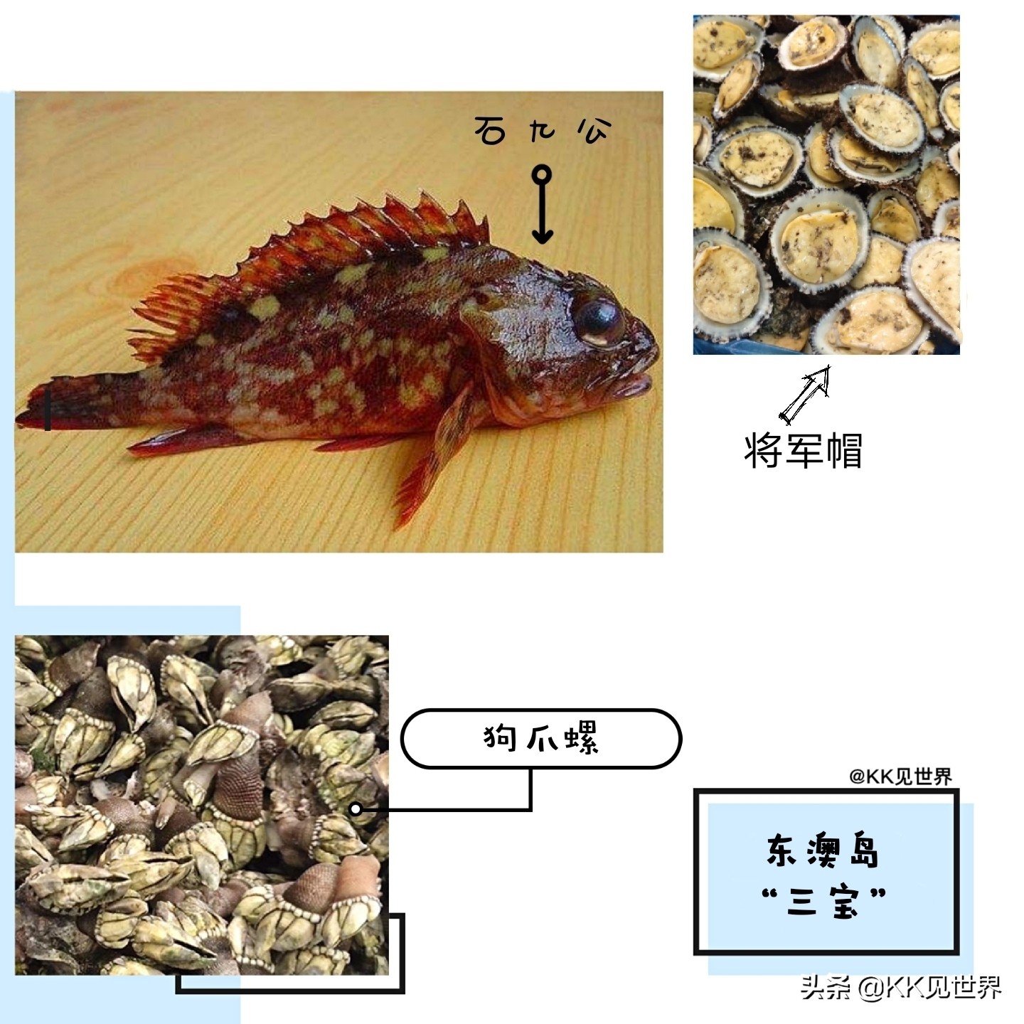 珠海东澳岛好玩吗值得去吗,珠海东澳岛可以露营过夜吗
