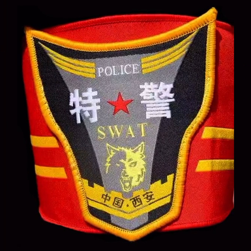 全国各个城市特警队臂章,公安特警帅图