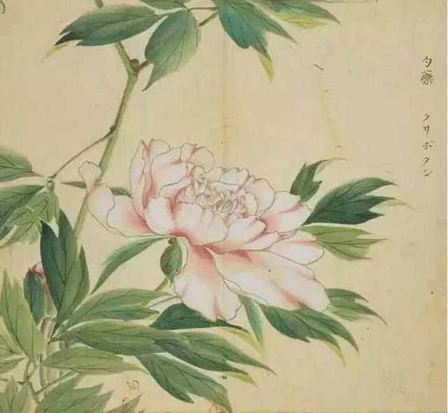 惊艳千年的古诗词合集,五千年来最美的20首诗