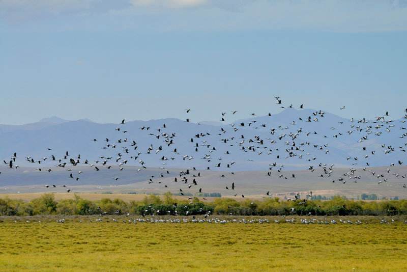 新疆怎么分东疆南疆北疆西疆,南疆北疆包括哪些地方