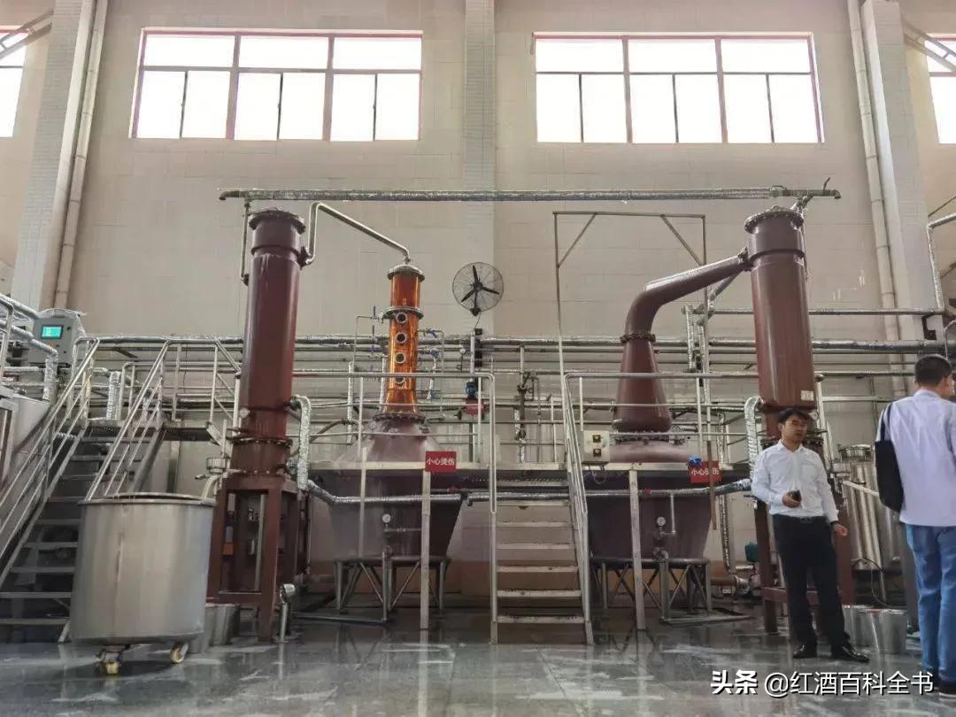 科普一下冷知识你了解多少,普及的冷知识