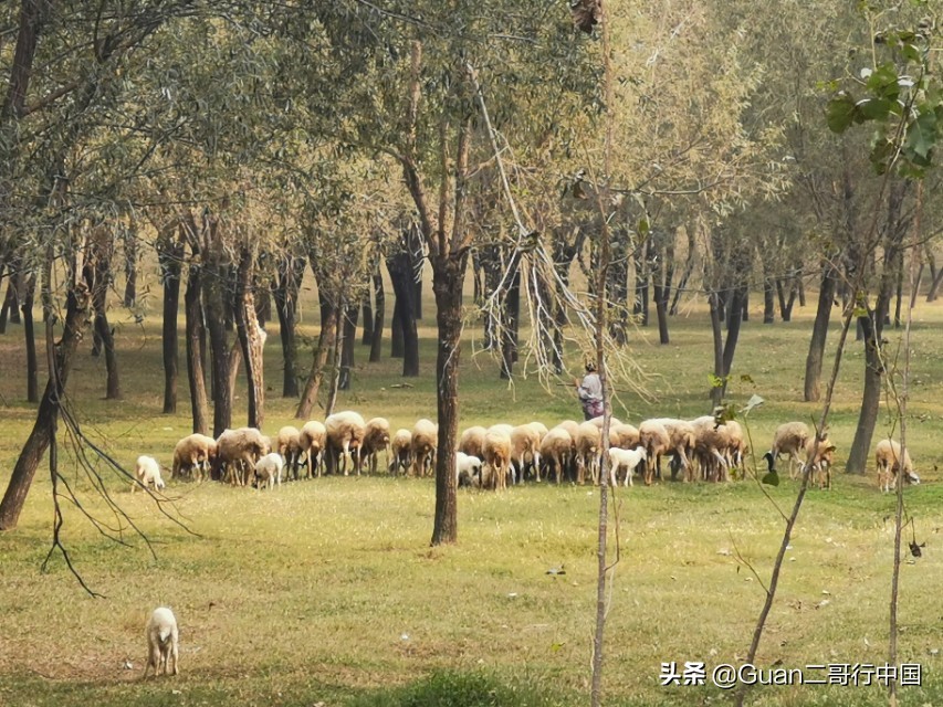兰考县厉害在哪,河南兰考县啥出名