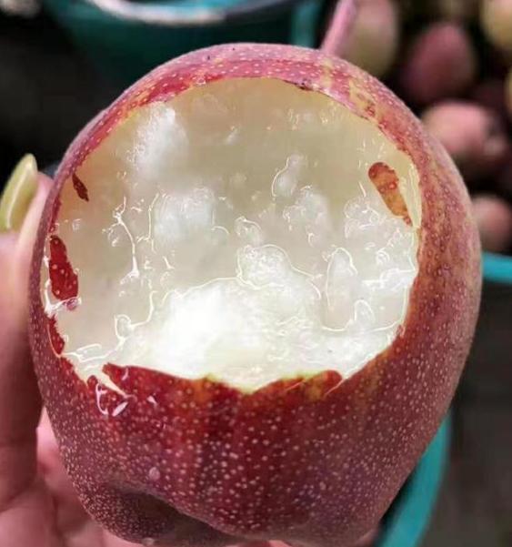 入伏前三种食物少吃,入伏后少吃哪些水果