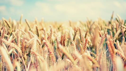 考研要远离这些院校,考研要慎重选专业