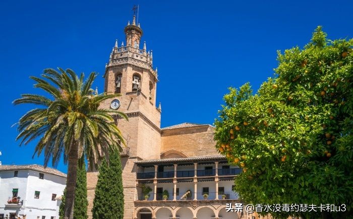 麝香橙花香水,比较果香的香水推荐