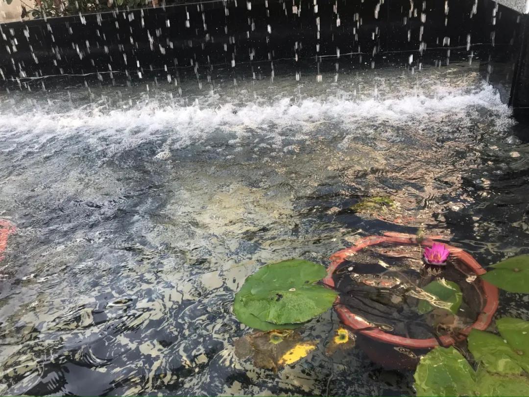 三位校长,三名校长